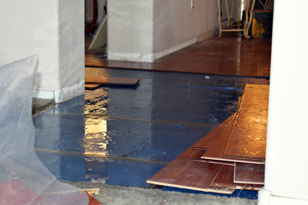 Professional Basement Water Removal technician working in North Monmouth, ME